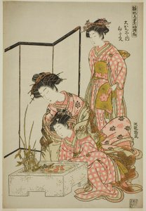 Shirotae von der Okanaya, aus der Serie "Modelle für Mode: Neue Designs so frisch wie junge Blätter (Hinagata wakana no hatsu moyo)"