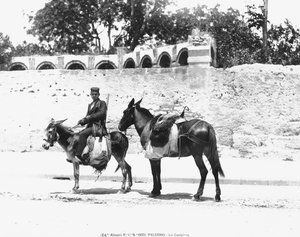 Ein Campiere, Palermo, um 1920