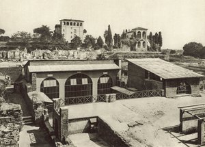 Palatin, Haus der Livia von Italian Photographer