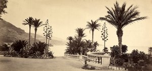 Der Garten des Casinos von Montecarlo, im Fürstentum Monaco
