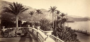 Der Garten des Casinos von Montecarlo, im Fürstentum Monaco