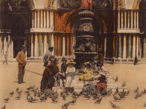 Venedig: Tauben