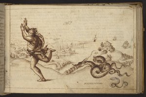 Menschliche Figur von Schlangen verfolgt, aus Historia Animalium