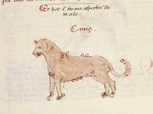 Konstellation des Hundes (Canis). Miniatur aus „Astronomica“ von Biasino da Parma (Blaise de Parma) (1425-1457) von Italian School