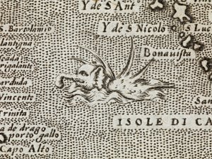 (Detail) eines See-Elefanten mit beeindruckenden Stacheln auf dem Rücken, aus 