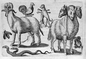 Verschiedene Arten monströser Tiere, mit mehreren Körpern oder einer abnormalen Anzahl von Gliedmaßen. Stich aus „De monstrorum natura, causis et differentiis“ von Fortunio Liceti (1577-1656), italienischer Wissenschaftler. 1646