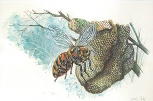 Europäische Honigkönigin am Bienenstock von Italian School