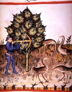 Fol.70v Kranichjagd, Illustration aus 