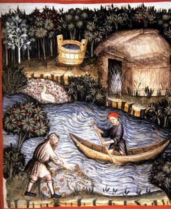 Fol.82r Frischer Fisch, Illustration aus 