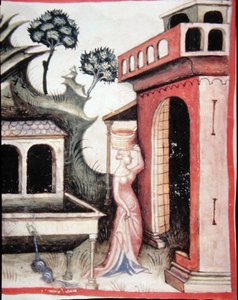 Fol.88v Quellwasser, Illustration aus 