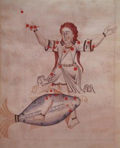 Ms.1036 Die Konstellation der Fische, aus 
