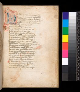 Ms 315. Horaz, Ars Poetica und Epistulae, f.1r. Verzierte Initiale [N] in blau und rot mit umliegendem Federwerk in rot von Italian School