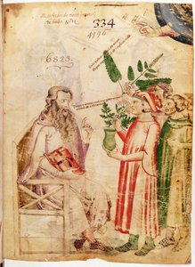 Männer präsentieren Pflanzen einem unbekannten Mann, aus De Herbis von Manfredus de Monte Imperiali von Italian School