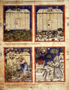 Arche Noah, Miniatur aus Codex 212 (oder Padovano Codice oder Bibel von Padua) 1390-1400 Rovigo, Accademia dei Concordi
