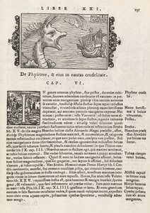 Seite 735 aus Historia De Gentivus Septentrionalibus von Magnus Olaus, Rom 1565