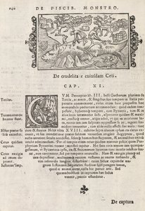 Seite 740 aus Historia De Gentivus Septentrionalibus von Magnus Olaus, Rom 1565