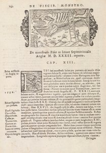 Seite 742 aus Historia De Gentivus Septentrionalibus von Magnus Olaus, Rom 1565