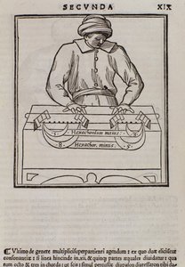 Seite aus Musica theorica von Lodovico Fogliani (1475?-1542) (oder Ludovico Foliani), Musiktheoretiker