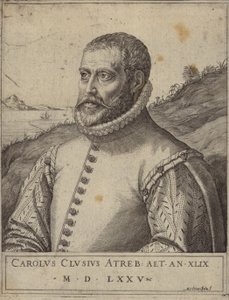 Porträt von Carolus Clusius von Italian School