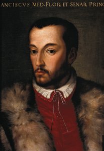Porträt von Francesco I de Medici