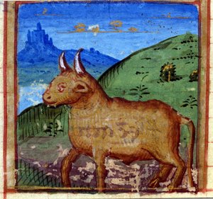 Sternzeichen Stier. Italienisches Horoskop, Mitte des 15. Jahrhunderts.