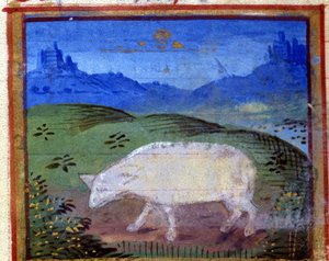 Zeichen des Widders. Italienisches Horoskop, Mitte des 15. Jahrhunderts