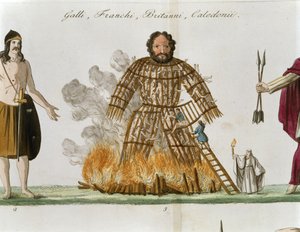 Der Weidenmann, aus 
