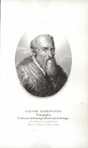 Ulisse Aldrovandi von Italian School
