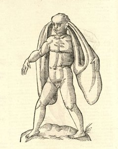 Illustration von Homo Fanesius auritus aus Aldrovandis Geschichte der Monster, 1642
