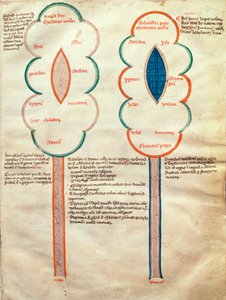 ms. ASPi, C.M. 15, c.4r Zwei symbolische Blumen, eine Seite aus dem Liber figuratum e le proemissiones gioachimitiche, von Joachim von Fiore (ca. 1135-1202)