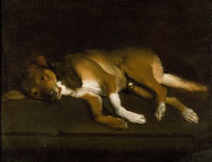 Ein Hund auf einem Sims liegend, ca. 1630-1720 von Italian school