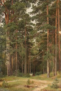Ein Sommertag, Merikiul, 1895