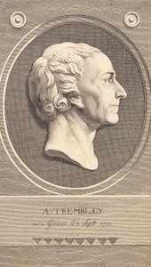 Reliefmedaillon mit Porträt des Zoologen Abraham Trembley von J.F. Clemens