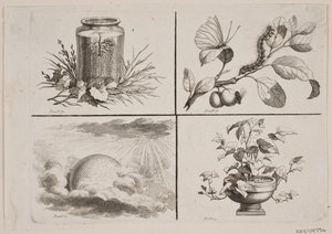 Vignetten zu Bonnets Werken von J.F. Clemens