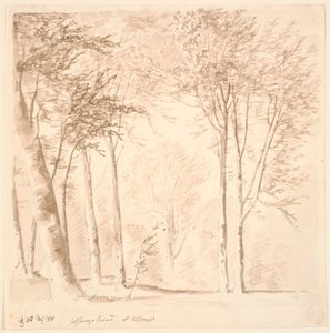 Waldszene von J.P. Møller