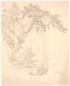 Bäume