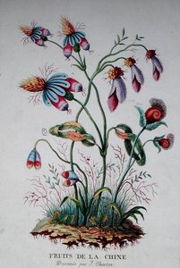 Früchte Chinas
