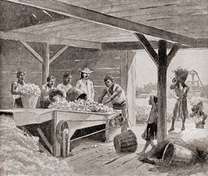 Sklaven arbeiten mit einer Baumwollentkörnungsmaschine aus dem 19. Jahrhundert auf einer Plantage in einem südlichen Staat der Vereinigten Staaten von Amerika, aus 