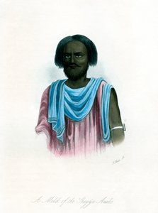Ein Melik der Shegyia-Araber, um 1840