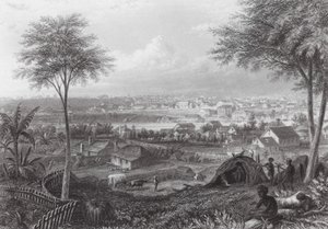 Australien: Brisbane von J. C. Armytage