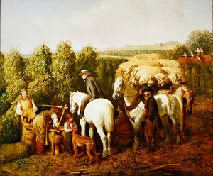 Ein Hopfengarten in Kent