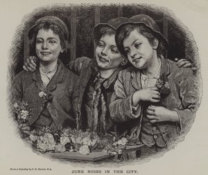 Junirosen in der Stadt