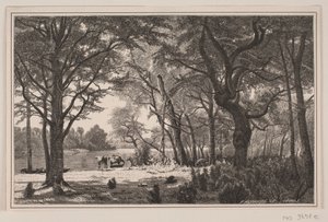 Jütländische Waldpartie