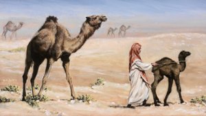 Mutterprobleme, 2008