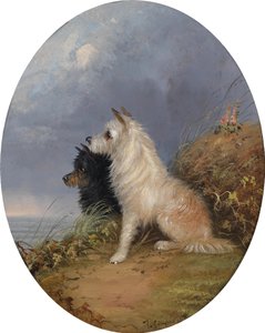 Zwei Hunde am Strand von J. Langlois