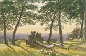 Hampstead Heath, London, ca. 1830