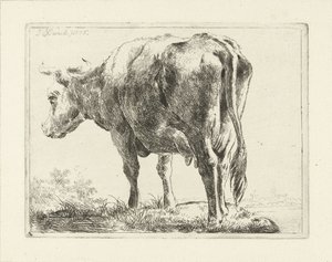 Stehende Kuh von Jabes Heenck
