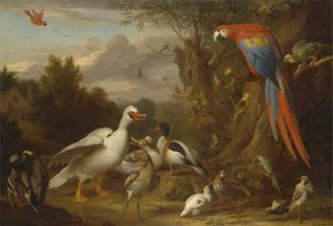 Ein Ara, Enten, Papageien und andere Vögel in einer Landschaft von Jacob Bogdani