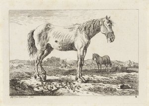 Stehendes Pferd in einer Landschaft