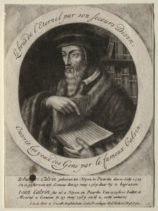 Johannes Calvin von Jacob Gole